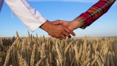 Shaking hands in agreement on the background of a wheat field. Wheat problem. World hunger. 