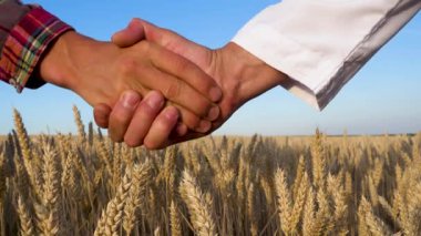 Shaking hands in agreement on the background of a wheat field. Wheat problem. World hunger. 