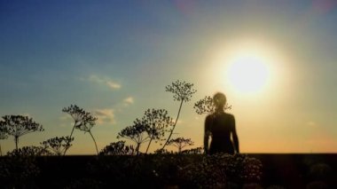 Gün batımında kır çiçeklerinin arasında mutlu ve özgür genç bir kadın. Genç kız gün batımında tarlada yürüyor. Yaban çiçeklerinin yanından geçen bir kadın parmak uçlarıyla onlara dokunuyor.. 