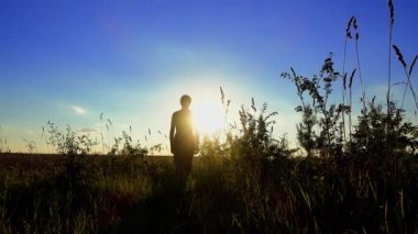 Gün batımında kır çiçeklerinin arasında mutlu ve özgür genç bir kadın. Genç kız gün batımında tarlada yürüyor. Yaban çiçeklerinin yanından geçen bir kadın parmak uçlarıyla onlara dokunuyor.. 