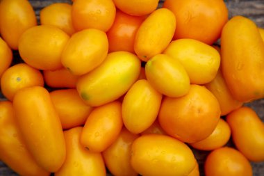 Fresh organic yellow tomatoes. Eco friendly non-gmo yellow tomatoes on the table. The concept of health, non-gmo products, clean ecological food. 