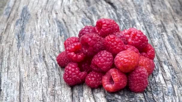 Fresh Organic Red Raspberries Composition Non Gmo Red Raspberries Table — Stock Video
