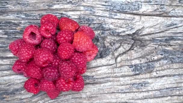 Fresh Organic Red Raspberries Composition Non Gmo Red Raspberries Table — Vídeo de Stock