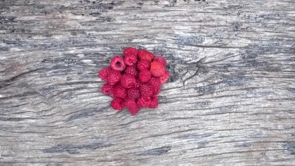 Fresh Organic Red Raspberries Composition Non Gmo Red Raspberries Table — Vídeo de Stock