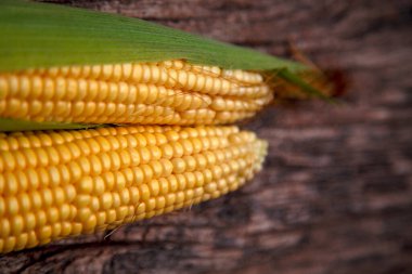 Corn cobs lie on a wooden table. Ripe corn lies on a textured old table. The concept of food, vegetarianism, world nutrition problems. 