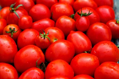 Fresh organic red tomatoes. Eco friendly non-gmo red tomatoes on the table. The concept of health, non-gmo products, clean ecological food. 