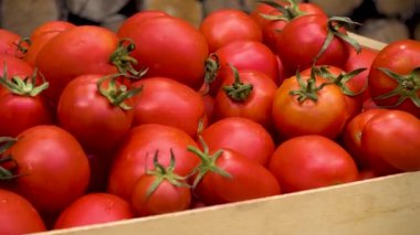 Box with fresh red tomatoes on the background of firewood. Red non-GMO tomatoes in a container on a wood texture background. Camera movement to the object. 