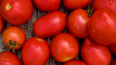 Box with fresh red tomatoes on the background of firewood. Red non-GMO tomatoes in a container on a wood texture background. Camera movement to the object. 