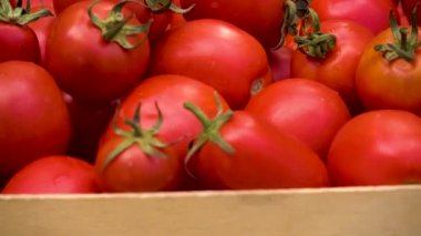 Box with fresh red tomatoes on the background of firewood. Red non-GMO tomatoes in a container on a wood texture background. Camera movement to the object. 