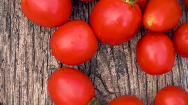 Box Fresh Red Tomatoes Background Firewood Red Non Gmo Tomatoes — Vídeo de Stock