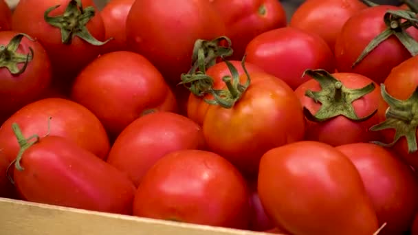 Box Fresh Red Tomatoes Background Firewood Red Non Gmo Tomatoes — 비디오