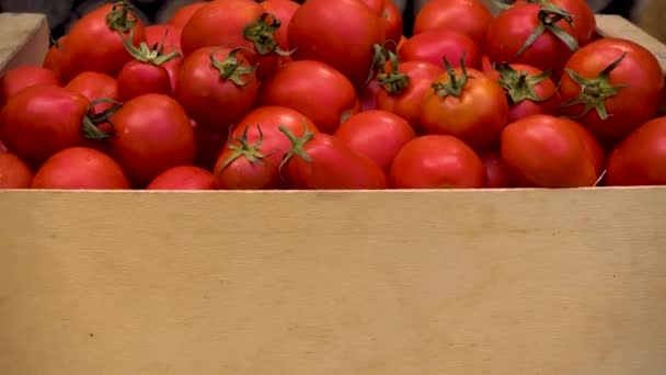 Box Fresh Red Tomatoes Background Firewood Red Non Gmo Tomatoes — Stockvideo