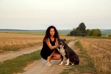 Beautiful young woman in a field with a dog for a walk. Girl with Staffordshire Terrier in the countryside. A happy lady walks her dog in the evening. 