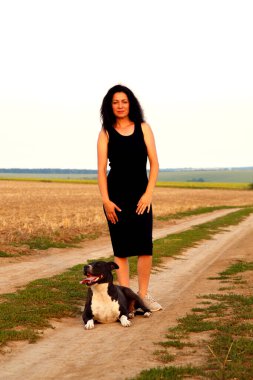 Beautiful young woman in a field with a dog for a walk. Girl with Staffordshire Terrier in the countryside. A happy lady walks her dog in the evening. 