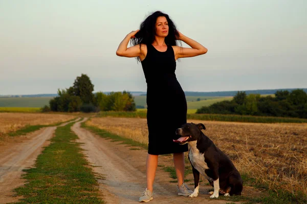 Beautiful young woman in a field with a dog for a walk. Girl with Staffordshire Terrier in the countryside. A happy lady walks her dog in the evening. 