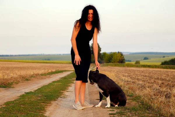 Beautiful young woman in a field with a dog for a walk. Girl with Staffordshire Terrier in the countryside. A happy lady walks her dog in the evening. 
