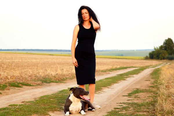 Beautiful young woman in a field with a dog for a walk. Girl with Staffordshire Terrier in the countryside. A happy lady walks her dog in the evening. 