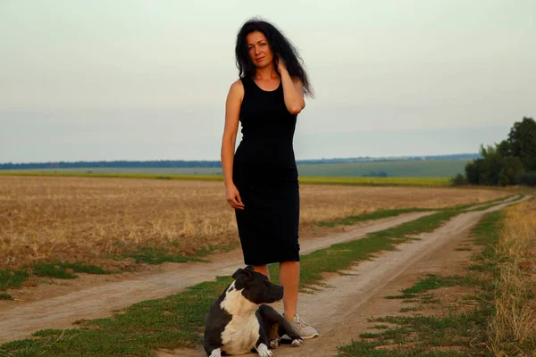 Beautiful young woman in a field with a dog for a walk. Girl with Staffordshire Terrier in the countryside. A happy lady walks her dog in the evening. 