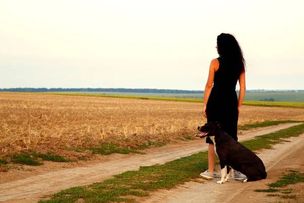 Beautiful young woman in a field with a dog for a walk. Girl with Staffordshire Terrier in the countryside. A happy lady walks her dog in the evening. 