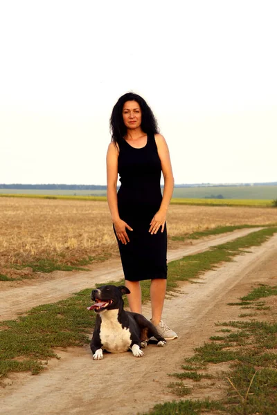 Beautiful young woman in a field with a dog for a walk. Girl with Staffordshire Terrier in the countryside. A happy lady walks her dog in the evening. 