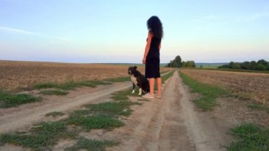 A beautiful young woman walks with a Staffordshire Terrier in a field. Happy free girl on a walk with a dog in nature. The concept of happiness, freedom, pets. 