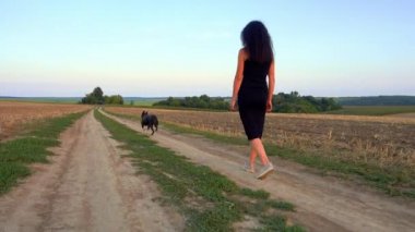 A beautiful young woman walks with a Staffordshire Terrier in a field. Happy free girl on a walk with a dog in nature. The concept of happiness, freedom, pets. 