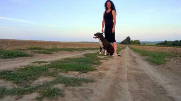 Beautiful Young Woman Walks Staffordshire Terrier Field Happy Free Girl — Stockvideo