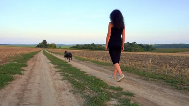 Beautiful Young Woman Walks Staffordshire Terrier Field Happy Free Girl — Vídeo de Stock
