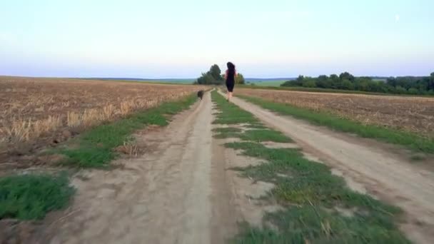 Μια Όμορφη Νεαρή Γυναίκα Περπατάει Ένα Τεριέ Του Σταφφορντσάιρ Ένα — Αρχείο Βίντεο