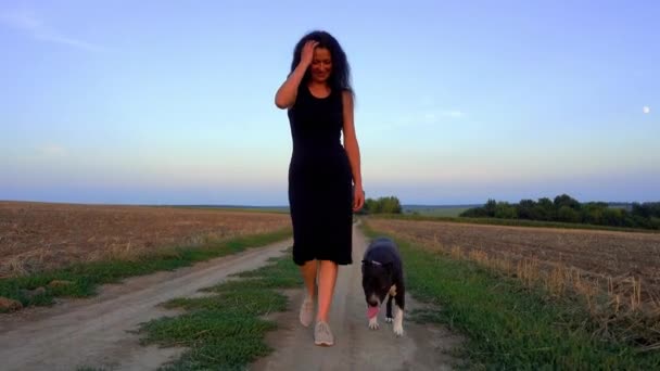 Μια Όμορφη Νεαρή Γυναίκα Περπατάει Ένα Τεριέ Του Σταφφορντσάιρ Ένα — Αρχείο Βίντεο