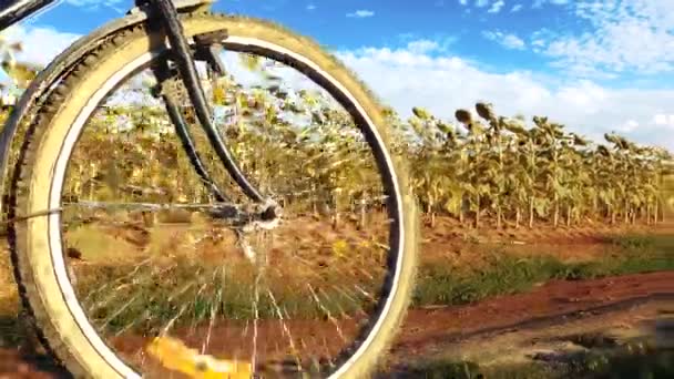 Bicycle Wheel Motion Nature Close View Bicycle Wheel Motion Concept — Vídeos de Stock
