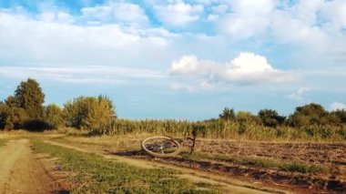 Young happy woman on a bike in the field. Girl rides a bike in nature. Close-up portrait, view from behind the grass. Camera movement.Concept of happiness, recreation, sports, nature. 