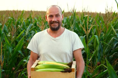 Portrait of a young man with a box of corn in his hands. A young farmer holds a box of corn in his hands. The concept of food, industry, agriculture. 