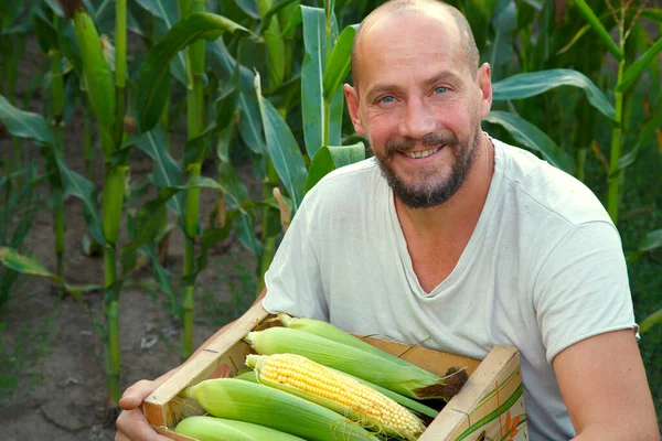 Portrait of a young man with a box of corn in his hands. A young farmer holds a box of corn in his hands. The concept of food, industry, agriculture.