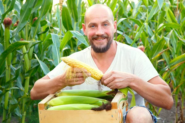 Portrait Young Man Box Corn His Hands Young Farmer Holds — Stock Fotó