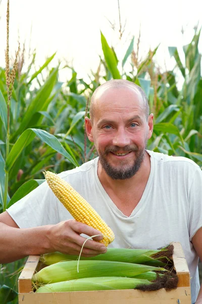 Portrait of a young man with a box of corn in his hands. A young farmer holds a box of corn in his hands. The concept of food, industry, agriculture.