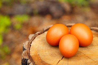 Natural chicken eggs on different backgrounds. Chicken eggs on a hemp, table, straw. The concept of food, diet, cooking. 