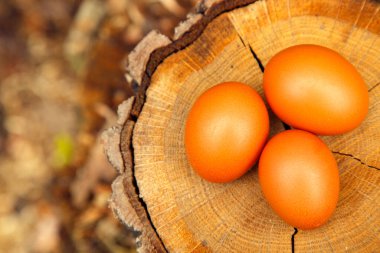 Natural chicken eggs on different backgrounds. Chicken eggs on a hemp, table, straw. The concept of food, diet, cooking. 