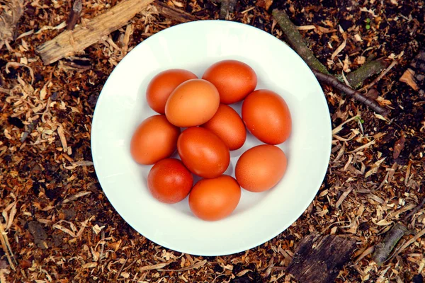 Натуральні Курячі Яйця Різному Фоні Курячі Яйця Коноплі Столі Соломі — стокове фото