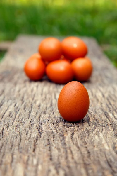 Natural Chicken Eggs Different Backgrounds Chicken Eggs Hemp Table Straw — Foto Stock