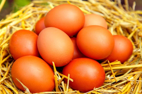 Natural Chicken Eggs Different Backgrounds Chicken Eggs Hemp Table Straw — 图库照片