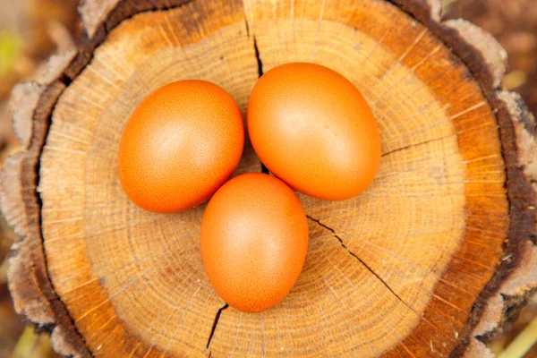 Natural Chicken Eggs Different Backgrounds Chicken Eggs Hemp Table Straw — 图库照片