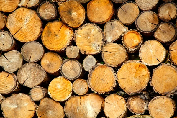 Hromada Sekaného Dřeva Pozadí Dřevorubce Nakrájené Dřevo Konopí Krb Kamna — Stock fotografie