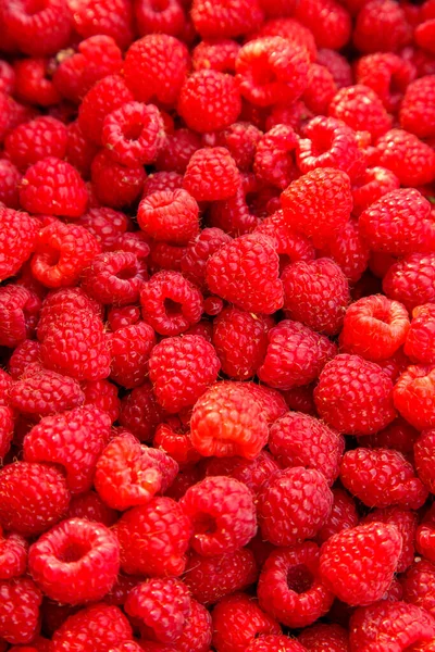 Fresh Red Raspberries Boxes Collection Red Raspberries Boxes Concept Agriculture — Fotografia de Stock