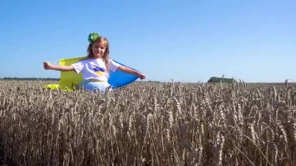 Little Girl Ukrainian Flag Field Child Girl Flag Ukraine Field — Stockvideo