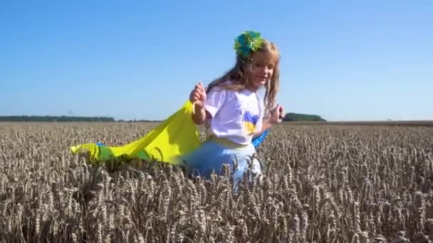 Little Girl Ukrainian Flag Field Child Girl Flag Ukraine Field — Vídeos de Stock