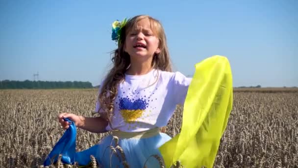 Маленька Дівчинка Українським Прапором Полі Дитяча Дівчинка Прапором України Полі — стокове відео