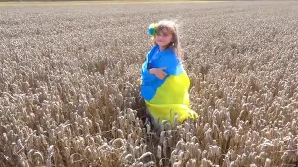 Little Girl Ukrainian Flag Field Child Girl Flag Ukraine Field — Vídeo de stock