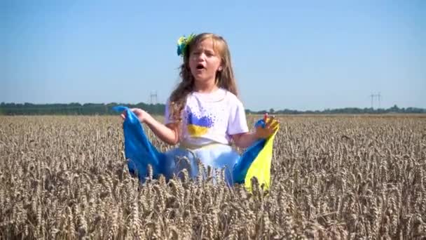 Little Girl Ukrainian Flag Field Child Girl Flag Ukraine Field — Stock videók