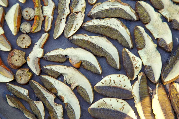 Sliced Porcini Mushrooms Drying Sliced Dried Natural Porcini Mushrooms Wood — Stock fotografie